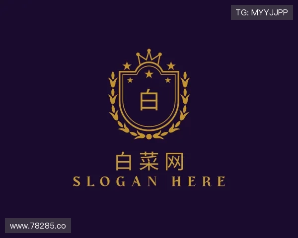 洞悉白菜网